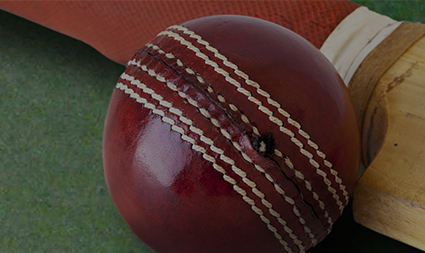 BACKYARD <strong>CRICKET</strong>