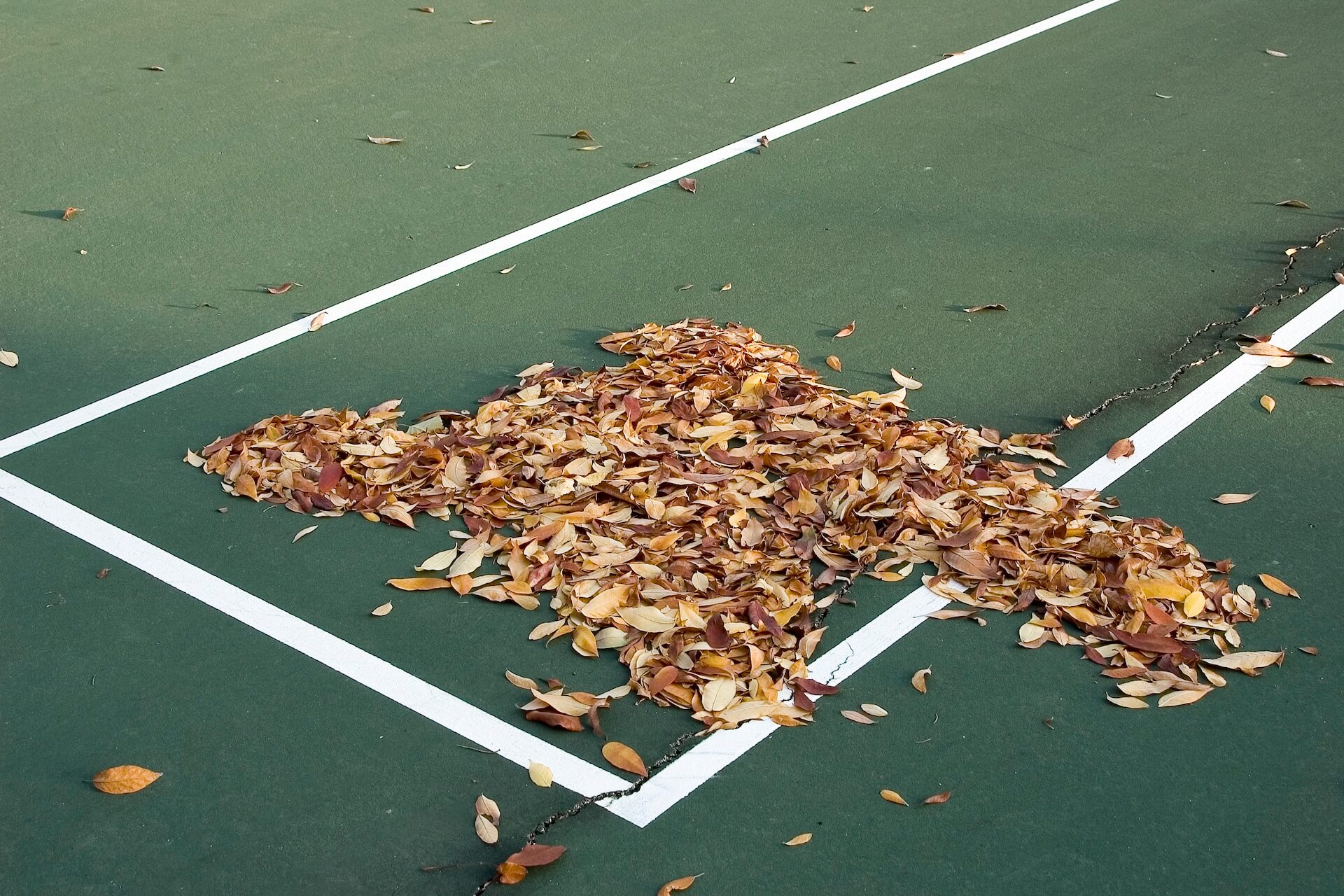 Leaves on a tennis court | Featured image for the Tennis Court Maintenance: Tips for Longevity and Performance blog.